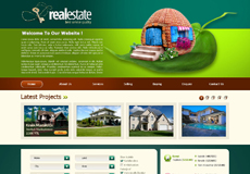 Template Website Bất động sản, thiết kế website bất động sản 06