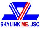 Thiết kế website Công ty Cổ phần Cơ điện Skylink