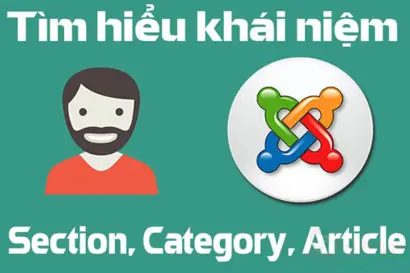 Quản lý section, category, article